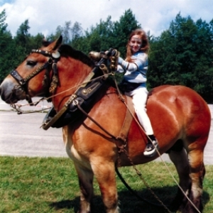 Balade a cheval, grimage, sports-nature... Un veritable enchantement pour vos enfants