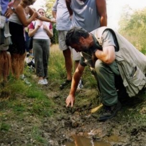 Des guides nature sont la pour expliquer le fonctionnement des arbres et de la foret