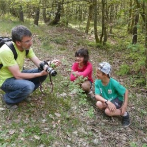 Animations pedagogiques