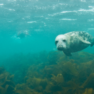 La magie de la côte bretonne