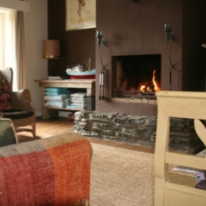 fermina daza fermina daza