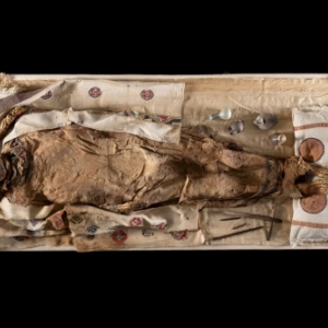 « La brodeuse Euphemia » et son mobilier funéraire, Antinoé, datation C14 de cheveux de la « momie » : 430-620 (95,4 % de probabilité), MRAH