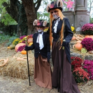 Neuf nocturnes pour Halloween à Pairi Daiza !