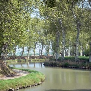 canal du midi