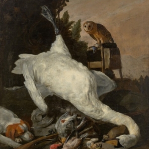 Nature morte de chasse avec un cygne, Peeter Boel (1622-1674), © Studio Tromp, Rotterdam