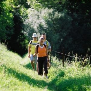 wandelen