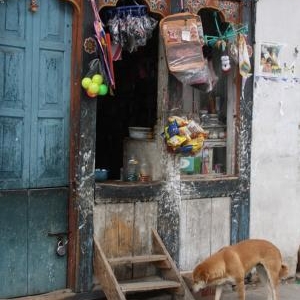 typisch winkeltje typisch winkeltje