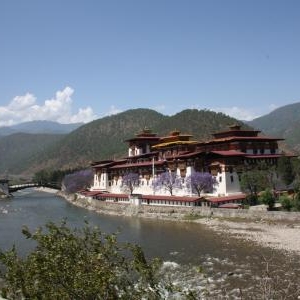 dzong punakha dzong punakha