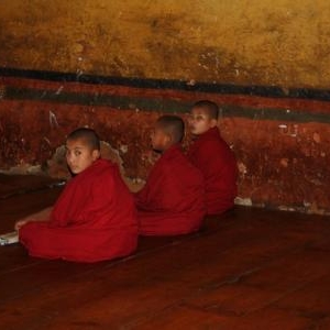 leerling monnikken