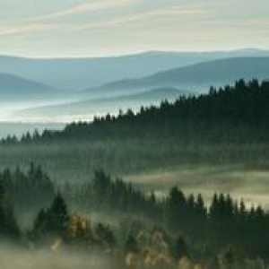 Les parcs nationaux tchèques: des perles de la nature pour des vacances actives