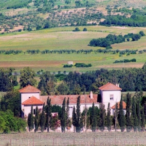 domaine neferis