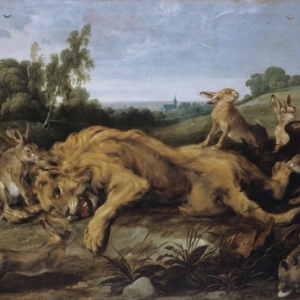 Frans Snyders (1579-1657) et Jan Wildens (1585/1586 – 1678),  Le lion mort, © Cliché L. Gauthier