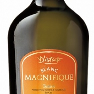 Une "route des vins" pour un tourisme alternatif en Tunisie Une "route des vins" pour un tourisme alternatif en Tunisie