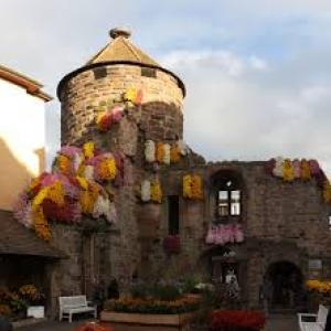 Lahr - Fete de la Chrysantheme Lahr - Fete de la Chrysantheme