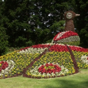 4. Ile de Mainau