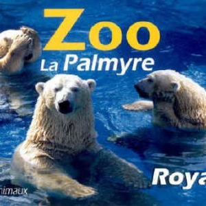 7. Zoo de La Palmyre