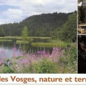 2. Les Ballons des Vosges