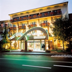 5. Hotel des Vallees La Bresse