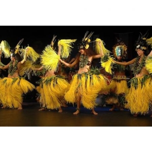 2. Spectacle tahitien