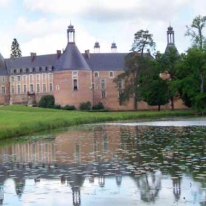 4. Chateau de Saint Fargeau