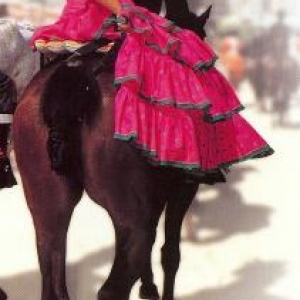 3. Les charmes de l'Andalousie 3. Les charmes de l'Andalousie