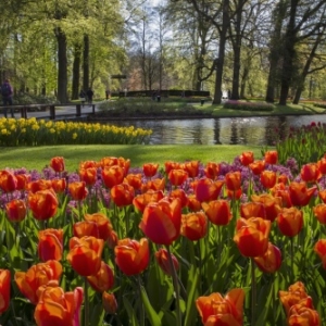 3. Keukenhof