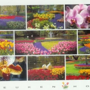 4. Le keukenhof 4. Le keukenhof