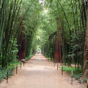 5. La Bambouseraie 5. La Bambouseraie