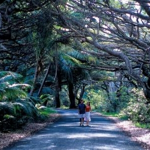Marche sous Bugnys - (c) Nouvelle Caledonie Point Sud