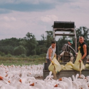 "Light as Feathers" (Rosanne Pel), Prix du Jury international ex-eaquo