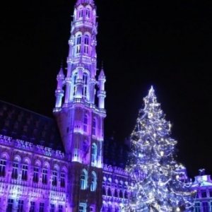 Les lumieres dansantes des aurores boreales (c) Ville de Bruxelles