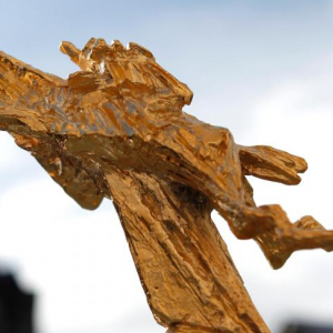 Qui recevra le "Bayard d'Or du meilleur Film" ?