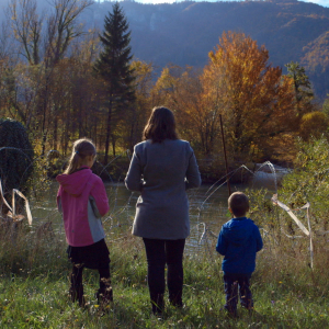 « The Wire » (Tiha Gudac)