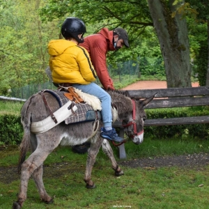 Balade « nature » familiale à dos d'ânes © Murielle Lecocq