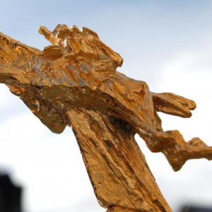 Trois compétitions pour l'attribution des "Bayards" et autres Prix © "FIFF"