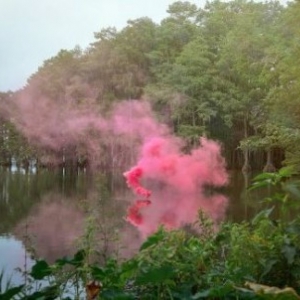 (c) Filippo Minelli