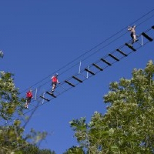 Pont de Singes (c) "Dinant Aventure"