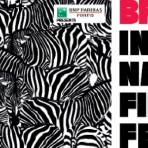 Echos du 2e "BRussels International Film Festival" ("BRIFF")