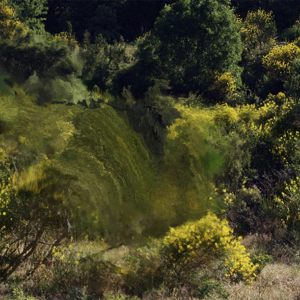 « Pleasant Places » © David Quayola © « PBA », Lille