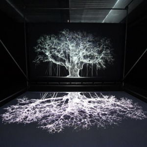 « Major Oak, le Chêne de la Forêt de Sherwood » © Mat Collishaw/ »ADAGP » © Photo : Stéphane Mortagne