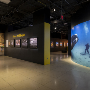 © « National Geographic »