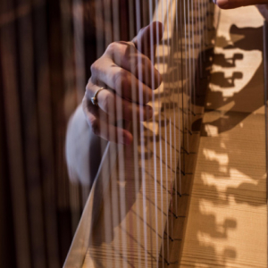Le doigté, à la Harpe, de Françoise Stella Marquet