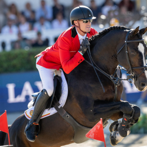 Jérôme Guéry © « Cheval-in »