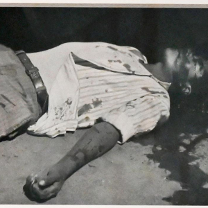 © Col. A. de Schooten © Photo Expo : FDM