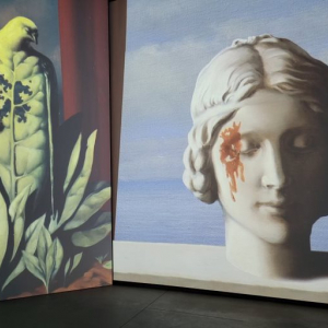 « Inside Magritte » © « Tempora » © Photo : Murielle Lecocq