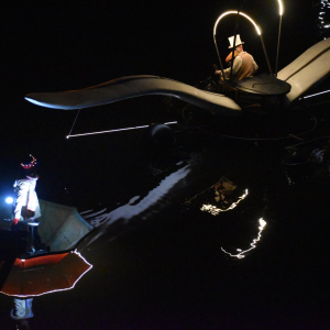 "Les Fous flottants" © Murielle Lecocq