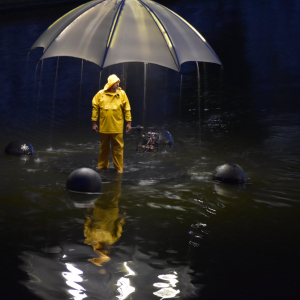 "Les Fous flottants" © Murielle Lecocq