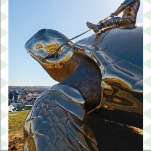 Namur Capitale, Ville de Culture