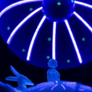« Le Monde meveilleux du Petit Prince » © Arnaud Nazare-Aga © Photo : « Tampora »