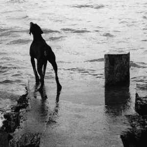 © Michel Vanden Eeckhoudt